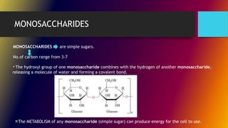MONOSACCHARIDES
MONOSACCHARIDES are simple sugars.
No.of carbon range from 3-7
The hydroxyl group of one monosaccharide combines with the hydrogen of another monosaccharide,
releasing a molecule of water and forming a covalent bond.
The METABOLISM of any monosaccharide (simple sugar) can produce energy for the cell to use.
 