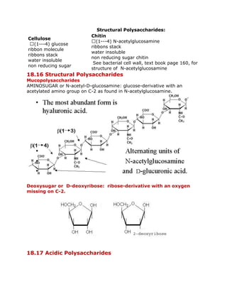 BRIEF EXPLANATION OF CARBOHYDRATE | PDF