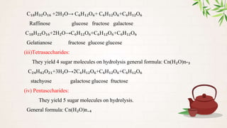 C₁₈H₃₂O₁₆ +2H₂O→ C₆H₁₂O₆+ C₆H₁₂O₆+C₆H₁₂O₆
Raffinose glucose fructose galactose
C₁₈H₂₂O₁₆+2H₂O→C₆H₁₂O₆+C₆H₁₂O₆+C₆H₁₂O₆
Gelatianose fructose glucose glucose
(iii)Tetrasaccharides:
They yield 4 sugar molecules on hydrolysis general formula: Cn(H₂O)n-₃
C₂₄H₄₂O₂₁+3H₂O→2C₆H₁₂O₆+C₆H₁₂O₆+C₆H₁₂O₆
stachyose galactose glucose fructose
(iv) Pentasccharides:
They yield 5 sugar molecules on hydrolysis.
General formula: Cn(H₂O)n₋₄
 