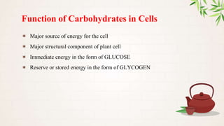 Function of Carbohydrates in Cells
✶ Major source of energy for the cell
✶ Major structural component of plant cell
✶ Immediate energy in the form of GLUCOSE
✶ Reserve or stored energy in the form of GLYCOGEN
 