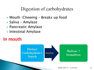  Mouth :Chewing – Breaks up food
 Saliva – Amylase
 Pancreatic Amylase
 Intestinal Amylase
In mouth
6/24/2022 22
SUNNY, BPH, TU
 