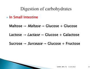  In Small Intestine
Maltose → Maltase → Glucose + Glucose
Lactose → Lactase → Glucose + Galactose
Sucrose → Surcease → Glucose + Fructose
6/24/2022 23
SUNNY, BPH, TU
 