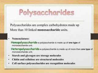 Polysaccharides are complex carbohydrates made up
More than 10 linked monosaccharide units.
• Nomenclature:
Homopolysaccharide-a polysaccharide is made up of one type of
monosaccharide unit.
Heteropolysaccharide-a polysaccharide is made up of more than one type of
monosaccharide unit.
• Starch and glycogen are storage molecules
• Chitin and cellulose are structural molecules
• Cell surface polysaccharides are recognition molecules
 