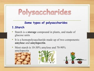 Some types of polysaccharides
1.Starch
• Starch is a storage compound in plants, and made of
glucose units
• It is a homopolysaccharide made up of two components:
amylose and amylopectin.
• Most starch is 10-30% amylose and 70-90%
amylopectin
 