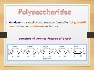 • Amylose – a straight chain structure formed by 1,4 glycosidic
bonds between α-D-glucose molecules.
H O
OH
H
OH
H
OH
CH2OH
H
O H
H
OH
H
OH
CH2OH
H
O
H
H H O
O
H
OH
H
OH
CH2OH
H
H H O
H
OH
H
OH
CH2OH
H
OH
H
H O
O
H
OH
H
OH
CH2OH
H
O
H
1
6
5
4
3
1
2
amylose
Structure of Amylose Fraction of Starch
 