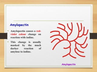 • Amylopectin causes a red-
violet colour change on
reaction with iodine.
• This change is usually
masked by the much
darker reaction of
amylose to iodine.
Amylopectin
Amylopectin
 