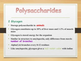 2 Glycogen
• Storage polysaccharide in animals
• Glycogen constitutes up to 10% of liver mass and 1-2% of muscle
mass
• Glycogen is stored energy for the organism
• Similar in structure to amylopectin, only difference from starch:
number of branches
• Alpha(1,6) branches every 8-12 residues
• Like amylopectin, glycogen gives a red-violet color with iodine
 