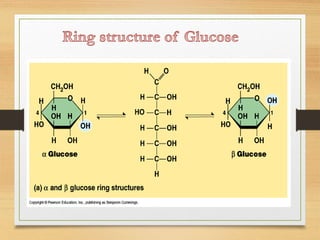 Carbohydrates.ppt