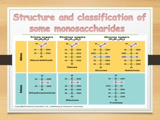 Carbohydrates.ppt