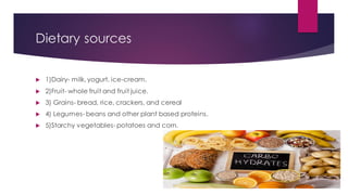 Dietary sources
 1)Dairy- milk, yogurt, ice-cream.
 2)Fruit- whole fruit and fruit juice.
 3) Grains- bread, rice, crackers, and cereal
 4) Legumes- beans and other plant based proteins.
 5)Starchy vegetables- potatoes and corn.
 