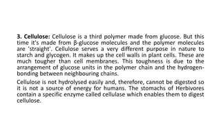 3. Cellulose: Cellulose is a third polymer made from glucose. But this
time it's made from β-glucose molecules and the polymer molecules
are 'straight'. Cellulose serves a very different purpose in nature to
starch and glycogen. It makes up the cell walls in plant cells. These are
much tougher than cell membranes. This toughness is due to the
arrangement of glucose units in the polymer chain and the hydrogen-
bonding between neighbouring chains.
Cellulose is not hydrolysed easily and, therefore, cannot be digested so
it is not a source of energy for humans. The stomachs of Herbivores
contain a specific enzyme called cellulase which enables them to digest
cellulose.
 