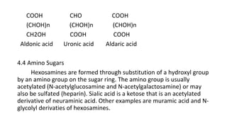 Carbohydrates.pdf