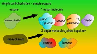 TYPES OF POLYSACCHARIDES
STORAGE
Glycogenesis – synthesis of
glycogen
- Glycogen undergoes
breakdown by different
enzymes
 