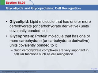 Section 18.20
Glycolipids and Glycoproteins: Cell Recognition
Return to TOC
• Glycolipid: Lipid molecule that has one or more
carbohydrate (or carbohydrate derivative) units
covalently bonded to it
• Glycoprotein: Protein molecule that has one or
more carbohydrate (or carbohydrate derivative)
units covalently bonded to it
– Such carbohydrate complexes are very important in
cellular functions such as cell recognition
Copyright ©2016 Cengage Learning. All Rights Reserved. 103
 