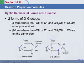 Section 18.11
Haworth Projection Formulas
Return to TOC
Copyright ©2016 Cengage Learning. All Rights Reserved. 48
• 2 forms of D-Glucose:
– α-form where the –OH of C1 and CH2OH of C5 are
on opposite sides
– β-form where the –OH of C1 and CH2OH of C5 are
on the same side
Cyclic Hemiacetal Forms of D-Glucose
O
OH OH
OH
OH
CH2OH
O
OH
OH
OH
OH
CH2OH
-D-Glucose -D-Glucose
1
2
3
4
5
6
1
2
3
4
5
6
Anomeric
Carbon
Anomeric
Carbon
 