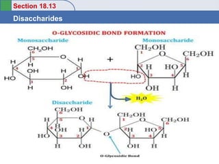 Section 18.13
Disaccharides
Return to TOC
Copyright ©2016 Cengage Learning. All Rights Reserved. 56
 