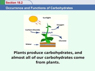 Section 18.2
Occurrence and Functions of Carbohydrates
Return to TOC
Plants and Carbohydrates
Copyright ©2016 Cengage Learning. All Rights Reserved. 6
 