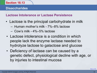 Section 18.13
Disaccharides
Return to TOC
Lactose Intolerance or Lactase Persistence
• Lactose is the principal carbohydrate in milk
– Human mother’s milk - 7%–8% lactose
– Cow’s milk - 4%–5% lactose
• Lactose intolerance is a condition in which
people lack the enzyme lactase needed to
hydrolyze lactose to galactose and glucose
• Deficiency of lactase can be caused by a
genetic defect, physiological decline with age, or
by injuries to intestinal mucosa
Copyright ©2016 Cengage Learning. All Rights Reserved. 61
 