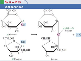 Section 18.13
Disaccharides
Return to TOC
Copyright ©2016 Cengage Learning. All Rights Reserved. 64
 