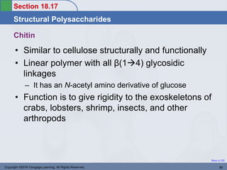 Section 18.17
Structural Polysaccharides
Return to TOC
Chitin
• Similar to cellulose structurally and functionally
• Linear polymer with all β(14) glycosidic
linkages
– It has an N-acetyl amino derivative of glucose
• Function is to give rigidity to the exoskeletons of
crabs, lobsters, shrimp, insects, and other
arthropods
Copyright ©2016 Cengage Learning. All Rights Reserved. 90
 