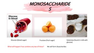 MONOSACCHARIDE
S
Glucose (blood sugar) Fructose (fruit sugar) Galactose (found in milk with
glucose)
What will happen if we combine any two of these? We will form disaccharides
 