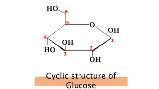 Cyclic structure of
Glucose
1
2
3
4
5
6
HO
 