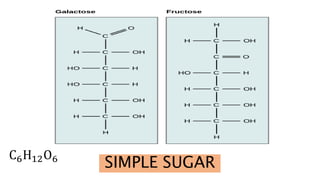 SIMPLE SUGAR
C6H12O6
 