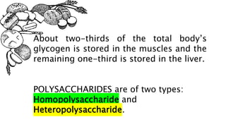 About two-thirds of the total body’s
glycogen is stored in the muscles and the
remaining one-third is stored in the liver.
POLYSACCHARIDES are of two types:
Homopolysaccharide and
Heteropolysaccharide.
 