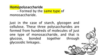 Homopolysaccharide
– Formed by the same type of
monosaccharide.
Just in the case of starch, glycogen and
cellulose. These three polysaccharides are
formed from hundreds of molecules of just
one type of monosaccharide, and that is
glucose, bonded together through
glycosidic linkages.
 