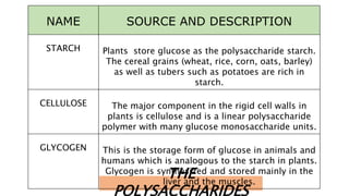THE
POLYSACCHARIDES
NAME SOURCE AND DESCRIPTION
STARCH Plants store glucose as the polysaccharide starch.
The cereal grains (wheat, rice, corn, oats, barley)
as well as tubers such as potatoes are rich in
starch.
CELLULOSE The major component in the rigid cell walls in
plants is cellulose and is a linear polysaccharide
polymer with many glucose monosaccharide units.
GLYCOGEN This is the storage form of glucose in animals and
humans which is analogous to the starch in plants.
Glycogen is synthesized and stored mainly in the
liver and the muscles.
 