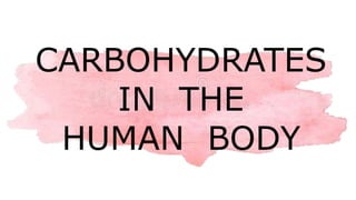CARBOHYDRATES
IN THE
HUMAN BODY
 