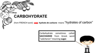 CARBOHYDRATE
(from FRENCH word) hydrate de carbone means “hydrates of carbon”
Carbohydrate sometimes called
SACCHARIDE from Greek word
“sakcharon” meaning sugar.
 