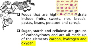  Foods that are high in carbohydrate
include fruits, sweets, rice, breads,
pastas, beans, potatoes and cereals.
 Sugar, starch and cellulose are groups
of carbohydrates and are all made up
of the elements carbon, hydrogen and
oxygen.
 