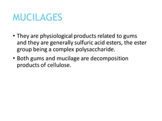 • They are physiological products related to gums
and they are generally sulfuric acid esters, the ester
group being a complex polysaccharide.
• Both gums and mucilage are decomposition
products of cellulose.
MUCILAGES
 