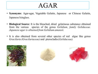 AGAR
• Synonyms: Agar-agar, Vegetable Gelatin, Japanese or Chinese Gelatin,
Japanese Isinglass.
• Biological Source: It is the bleached, dried gelatinous substance obtained
from the various species of the genus Gelidium, family Gelidaceae.
Japanese agar is obtained from Gelidium amansii.
• It is also obtained from several other species of red algae like genus
Gracilaria (Gracilariaceae) and pterocladia (Gelidaceae).
 