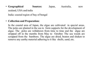 • Geographical Sources: Japan, Australia, new
zealand, USA and india
India: coastal region of bay of bengal
• Collection and Preparation:
In the coastal area of Japan, the algae are cultivated in special areas.
The poles are planted in the sea to form supports for the development of
algae. The poles are withdrawn from time to time and the algae are
stripped off in the months from May to October. The sea weeds are
scrapped from the bamboos. The algae are dried, beaten and shaken to
remove any earthy material adhering to it like shells, sand, etc.
 