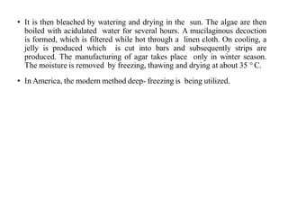 • It is then bleached by watering and drying in the sun. The algae are then
boiled with acidulated water for several hours. A mucilaginous decoction
is formed, which is filtered while hot through a linen cloth. On cooling, a
jelly is produced which is cut into bars and subsequently strips are
produced. The manufacturing of agar takes place only in winter season.
The moisture is removed by freezing, thawing and drying at about 35 ° C.
• In America, the modern method deep- freezing is being utilized.
 