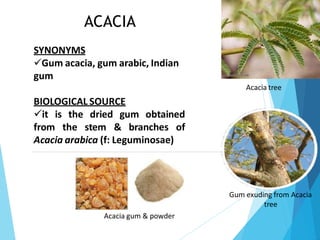 ACACIA
SYNONYMS
✓Gum acacia, gum arabic, Indian
gum
BIOLOGICAL SOURCE
✓it is the dried gum obtained
from the stem & branches of
Acacia arabica (f: Leguminosae)
Acacia tree
Gum exuding from Acacia
tree
Acacia gum & powder
 