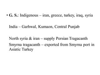 • G. S.: Indigenous – iran, greece, turkey, iraq, syria
India – Garhwal, Kumaon, Central Punjab
North syria & iran – supply Persian Tragacanth
Smyrna tragacanth – exported from Smyrna port in
Asiatic Turkey
 