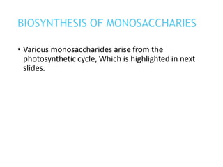 • Various monosaccharides arise from the
photosynthetic cycle, Which is highlighted in next
slides.
BIOSYNTHESIS OF MONOSACCHARIES
 