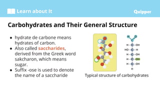 Learn about It
● hydrate de carbone means
hydrates of carbon.
● Also called saccharides,
derived from the Greek word
sakcharon, which means
sugar.
● Suffix -ose is used to denote
the name of a saccharide
Carbohydrates and Their General Structure
Typical structure of carbohydrates
 
