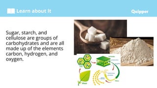 Learn about It
Sugar, starch, and
cellulose are groups of
carbohydrates and are all
made up of the elements
carbon, hydrogen, and
oxygen.
 