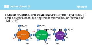 Learn about It
Glucose, fructose, and galactose are common examples of
simple sugars, each bearing the same molecular formula of
C6H12O6.
 