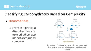 Learn about It
● Disaccharides
○ From the prefix di-,
disaccharides are
formed when two
monosaccharides
combine.
Classifying Carbohydrates Based on Complexity
Formation of maltose from two glucose molecules.
This type of reaction is known as a condensation
reaction.
 