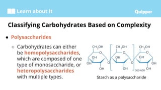 Learn about It
● Polysaccharides
○ Carbohydrates can either
be homopolysaccharides,
which are composed of one
type of monosaccharide, or
heteropolysaccharides
with multiple types.
Classifying Carbohydrates Based on Complexity
Starch as a polysaccharide
 