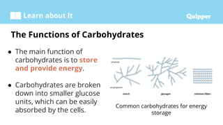 Learn about It
● The main function of
carbohydrates is to store
and provide energy.
● Carbohydrates are broken
down into smaller glucose
units, which can be easily
absorbed by the cells.
The Functions of Carbohydrates
Common carbohydrates for energy
storage
 