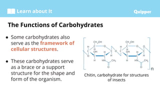Learn about It
● Some carbohydrates also
serve as the framework of
cellular structures.
● These carbohydrates serve
as a brace or a support
structure for the shape and
form of the organism.
The Functions of Carbohydrates
Chitin, carbohydrate for structures
of insects
 