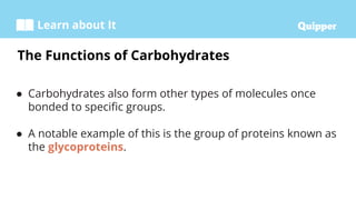 Learn about It
● Carbohydrates also form other types of molecules once
bonded to specific groups.
● A notable example of this is the group of proteins known as
the glycoproteins.
The Functions of Carbohydrates
 