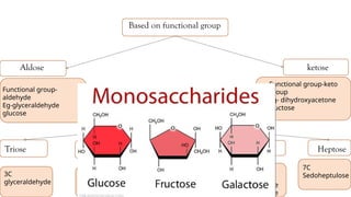 Based on functional group
Aldose ketose
Based On No: Of Carbon Atom
Triose Tetrose Pentose Hexose Heptose
Functional group-
aldehyde
Eg-glyceraldehyde
glucose
Functional group-keto
group
Eg- dihydroxyacetone
fructose
3C
glyceraldehyde
4C
D-erythrose
5C
D-Ribose
D-Xylose
6C
D-Glucose
D-Fructos3e
D-Galactose
7C
Sedoheptulose
 