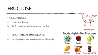 FRUCTOSE
• OCCURRENCE-
a. Fruits and honey
b. As A constituent of sucrose and inulin
• BIOCHEMICAL IMPORTANCE
a. Its phosphates are intermediate of glycolysis
 